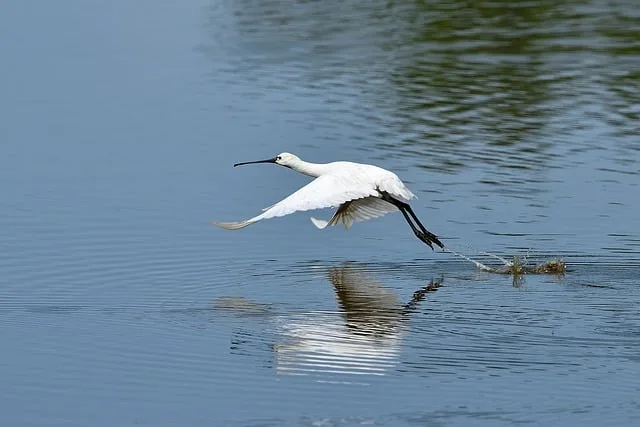 Si piensas que tu relación no te ayuda a sumar, es hora de volar solo